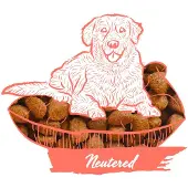Calibra Hondenvoer Expert Nutrition Neutered Kip & Rijst 2 kg