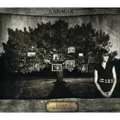 Import L'arbre Aux Parfums
