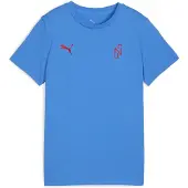 Puma Functioneel shirt blauw / rood