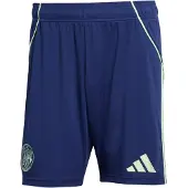 Adidas Sportbroek 'Ajax Amsterdam 25/26' navy / pastelgroen