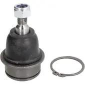 Moog Fuseekogel FI-BJ-10935