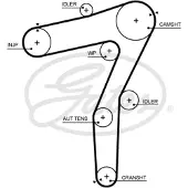 Gates 5706XS Distributieriem