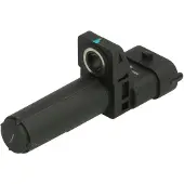 Delphi Krukaspositiesensor SS12020-12B1