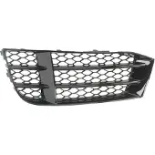 BLIC 6502-07-0038913P Ventilatiegrille, bumper