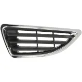 BLIC 6502-07-6037993Q Radiator grill