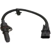 Delphi SS11331 Krukassensor
