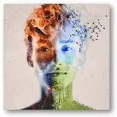 Universal Music Jacob Collier, Metropole Orchestra, Jules Buckley - Djesse Volume 1 (CD)
