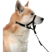 Flamingo Easy Leader - Hoofdhalsband Honden - Halsband Easy Leader Zwart Xl 55-74cm 15mm