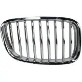 BLIC 6502-07-0067992GP Radiator grill
