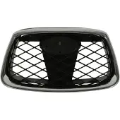 BLIC Radiatorrooster 6502-07-6733990CP