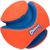 Chuckit! Kick Fetch Small