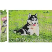 Creative Craft Lab Diamond Painting - Husky puppy - 40x50 cm