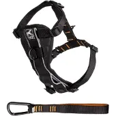 Kurgo TRU-Fit slimme hondentuig, maat L, zwart