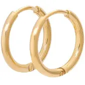 Ixxxi Creolen 15mm Goud