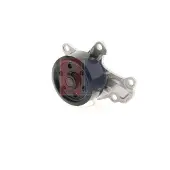 AKS DASIS 570146N Waterpomp