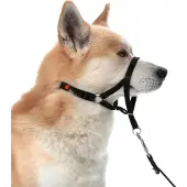 Flamingo Easy Leader - Hoofdhalsband Honden - Halsband Easy Leader Zwart L 50-65cm 15mm