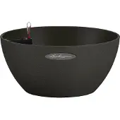Lechuza - Cubeto Color 30 graphite black