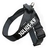Julius-K9 IDC Riemtuig Zwart - Maat Mini