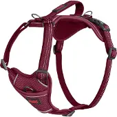 Halti Anatomy Harness