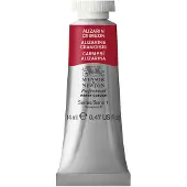 Winsor & Newton Winsor Newton Professional Waterverf 14ml 047oz Tube Davys Grijs