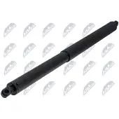 NTY AE-SK-042 Gasveer achterklep