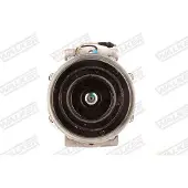 Walker WCP00596 Aircopomp