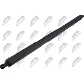 NTY AE-HY-059 Gasveer achterklep