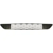 BLIC Bumper - ventilatierooster 6502-07-2030910P