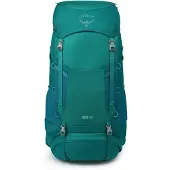 Osprey - Kinderrugzakken - Ace 50 Blue Spikemoss/Deep voor Unisex - Blauw