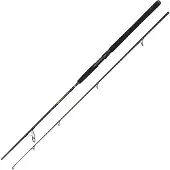 Penn Wrath Ii Spinning Rod Zilver 2.44 m / 60-120 g