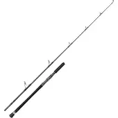 Penn Carnage Popping Rod Grijs 2.29 m / 100-180 g