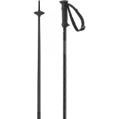 Salomon Polar Access Stokken