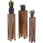 Wohnling Bijzettafelset sheeshamhout 25x100x25 cm