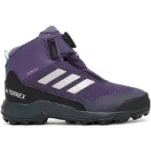 Adidas Boots 'Terrex Winter Mid BOA RAIN.RDY Hiking' grijs / braam / zwart