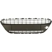 BLIC 6509-01-2565995P Ventilatiegrille, bumper
