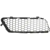 BLIC 6502-07-0111924Q Ventilatiegrille, bumper