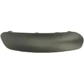 BLIC Sierlijst/beschermstrip, bumper 6502-07-0519926P rechts