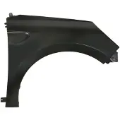 BLIC Spatbord, vóór 6504-04-6001312P, rechts