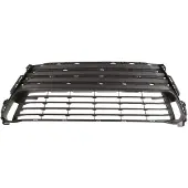 BLIC 6502-07-8173915P Ventilatiegrille, bumper