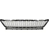 BLIC 6502-07-9550910GP Ventilatiegrille, bumper