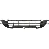 BLIC 6502-07-5508910Q Ventilatiegrille, bumper