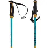 Völkl Phantastick Junior Stokken