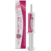 Sante Gastrobutyraat Supplement Voor Katten 60 Ml