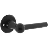 Intersteel Deurkruk L/L Bol op rozet - mat zwart
