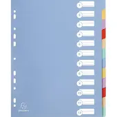 Exacompta 15x Tabbladen in stevige Ondoorzichtige PP - 12 tabs - A4 maxi - Geassorteerd - 4812E