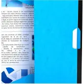 Exacompta 25x PUNCHY+ Elastomap met 3 kleppen geperforeerd - glanskarton 375g/m2 - A4 - Geassorteerd - 447100E