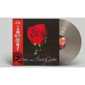 Bigwax Dis Cnt Silence In The Secret Garden Beperkte Editie Vinyl Rook