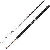 Penn Warfare Ii Boat Jigging Rod Zilver 1.83 m / 30 Lbs