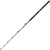 Penn Warfare Ii Trolling Rod Zilver 1.70 m / 30-50 Lbs