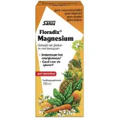 Floradix 4x Magnesium 250 Ml